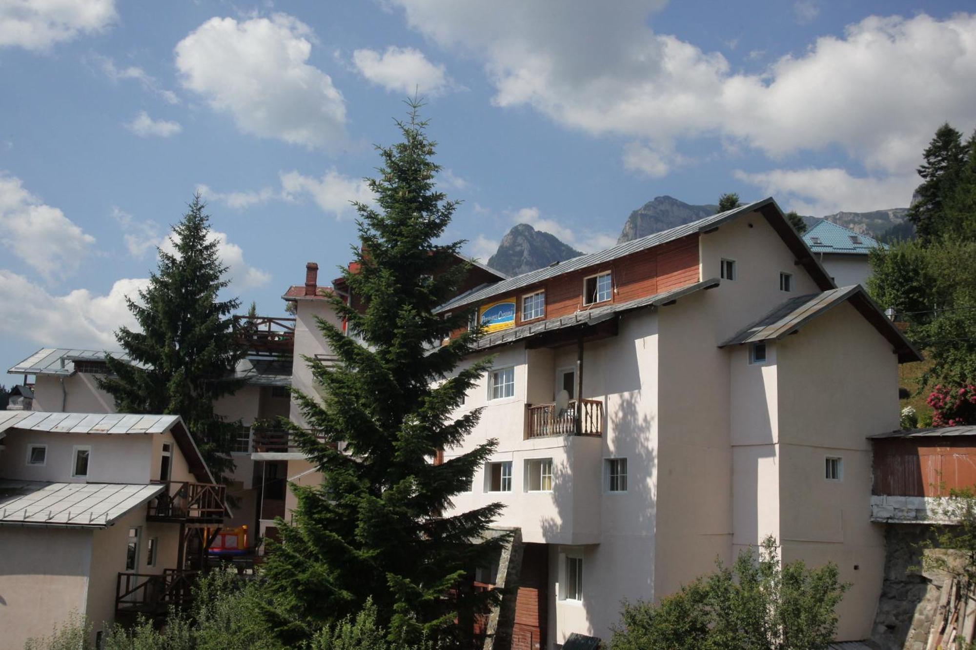 Cazare Casa Cristina Busteni Exterior photo